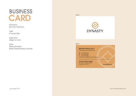 Dynasty Brand 指南 第 12 页