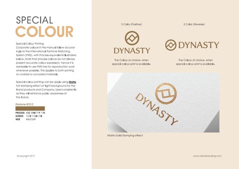 Dynasty Brand 指南 第 6 页