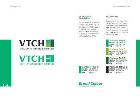 VTCH Brand 指南 第 5 页