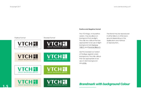VTCH Brand 指南 第 6 页