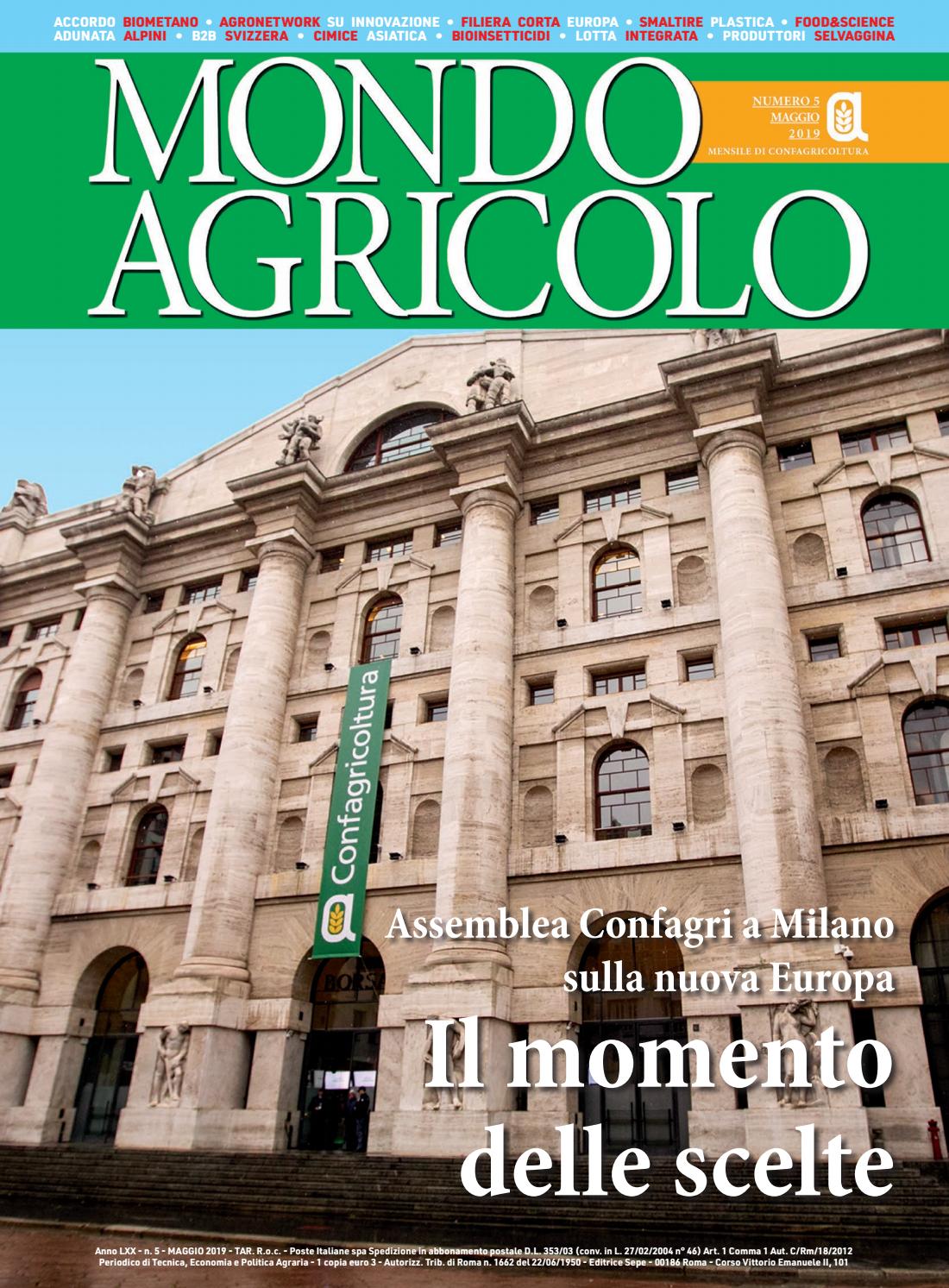 centro di perdita di peso alicante