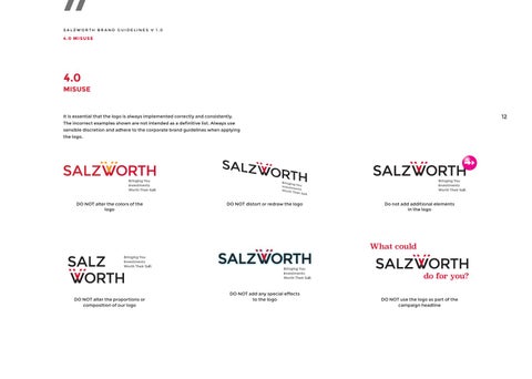 Salzworth Brand Guidelines 第 13 页