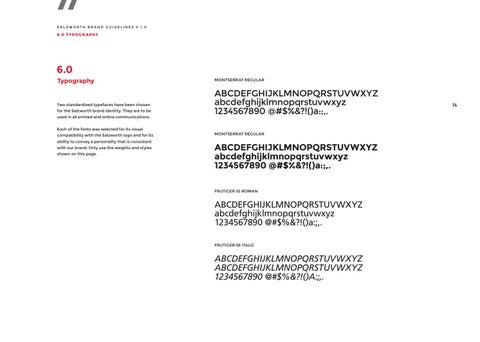 Salzworth Brand Guidelines 第 15 页
