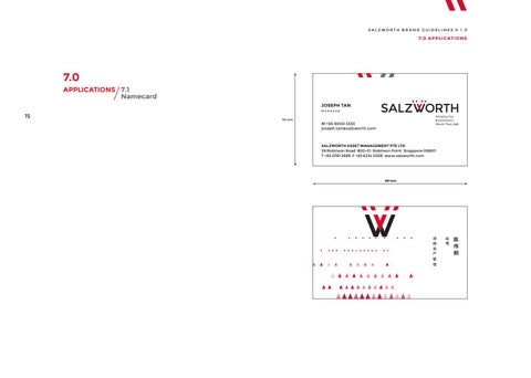 Salzworth Brand Guidelines 第 16 页