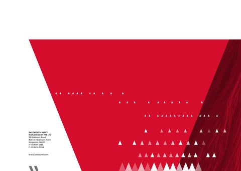 Salzworth Brand Guidelines 第 20 页