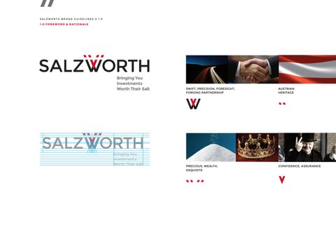 Salzworth Brand Guidelines 第 3 页