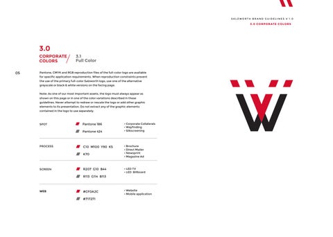Salzworth Brand Guidelines 第 6 页