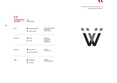 Salzworth Brand Guidelines 第 8 页