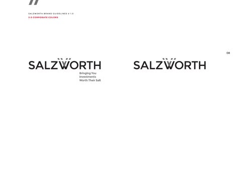 Salzworth Brand Guidelines 第 9 页