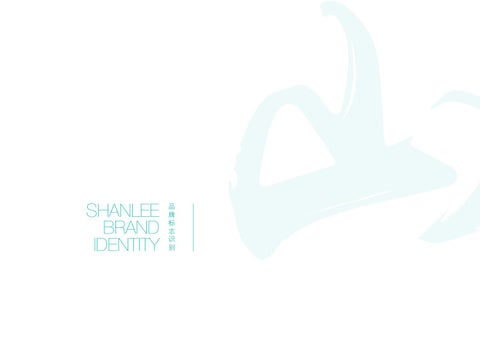 Shan Lee Brand Guidelines 第 2 页