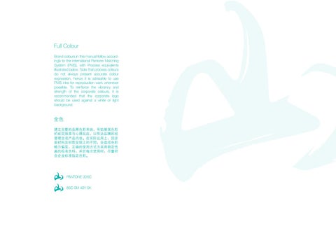 Shan Lee Brand Guidelines 第 4 页