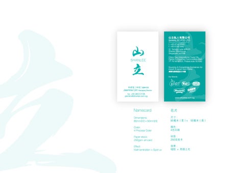 Shan Lee Brand Guidelines 第 9 页