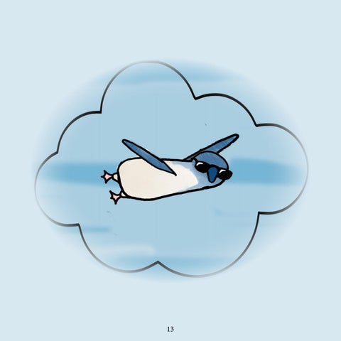 Little Penguin 第 13 页