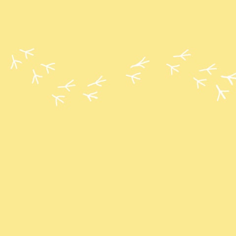 Little Penguin 第 14 页