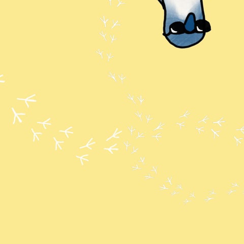 Little Penguin 第 15 页
