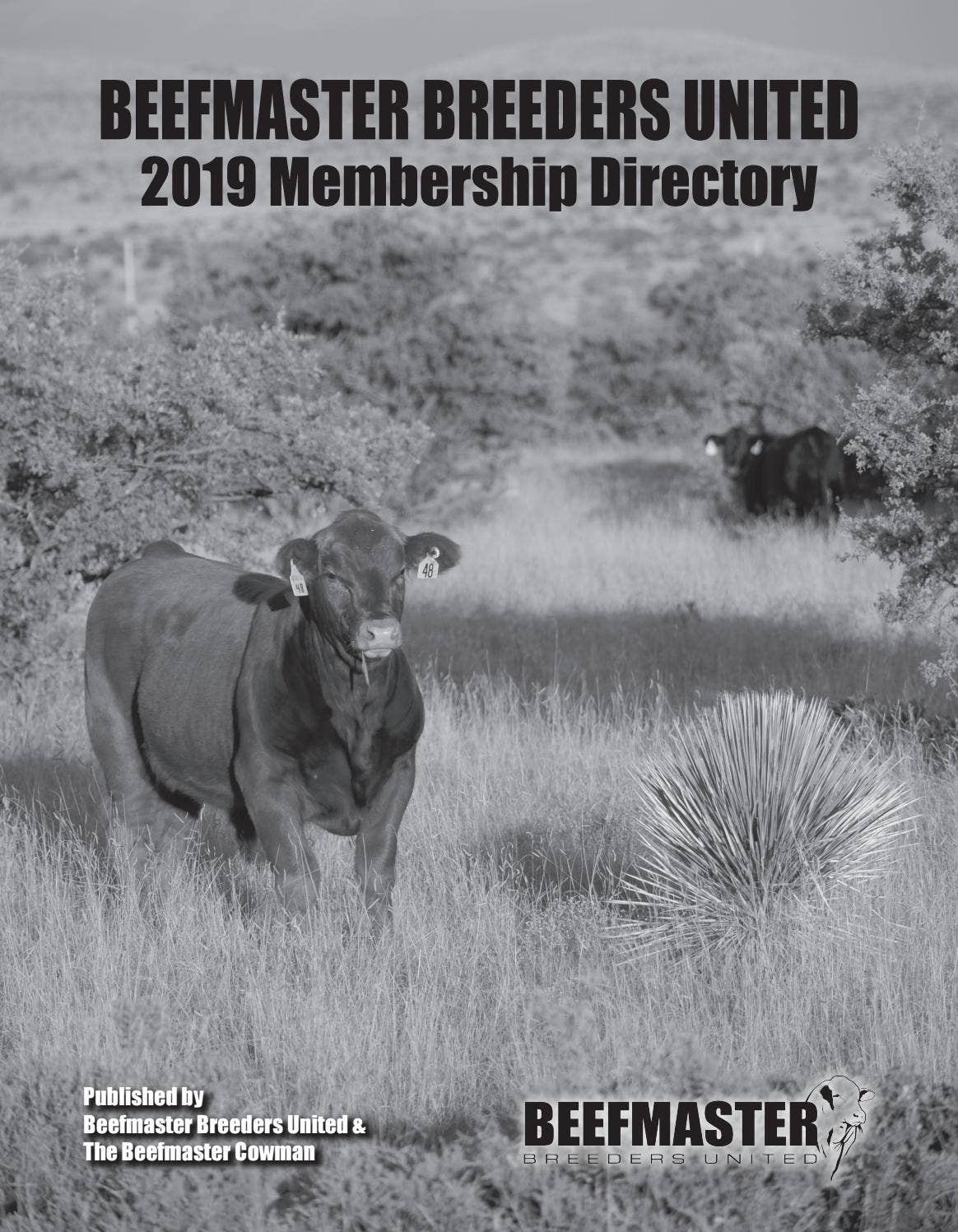 2019 BBU Membership Directory by Beefmaster Breeders United - Issuu