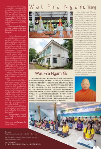 trang krabi 第 19 页