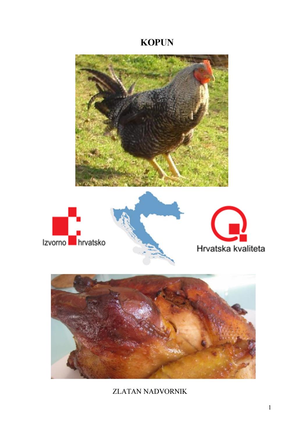 crni pijetao velik za njubijela pička crni klinci