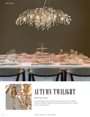 2019-2020 Golden Lighting 灯饰目录 第 16 页