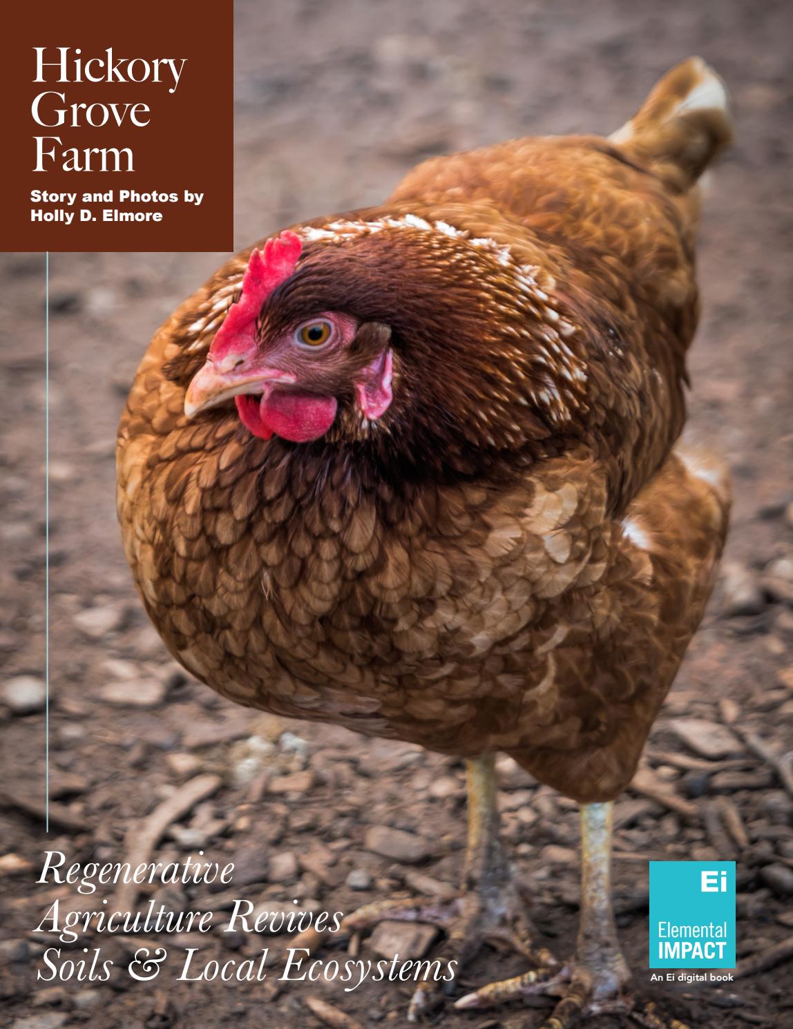 Hickory Grove Farm Regenerative Farming Revives Soils & Eco Systems by