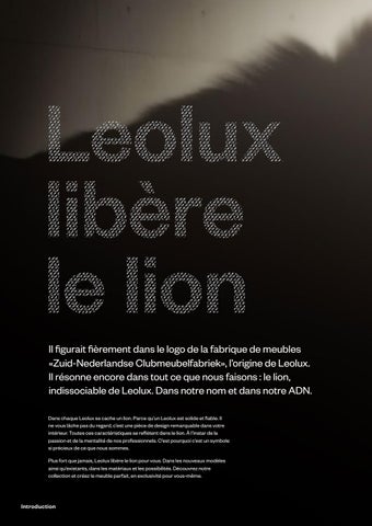 Leolux 灯饰目录 2019 法文 第 6 页