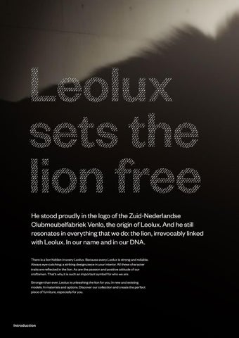 Leolux 灯饰目录 2019 英文 第 6 页
