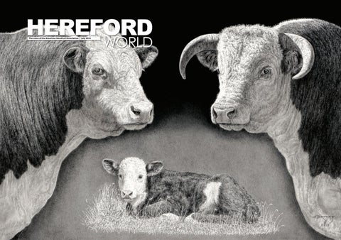 July 2019 Hereford World by American Hereford Association and Hereford  World - Issuu