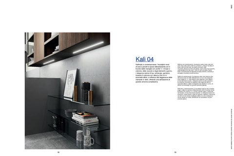 Kali 第 20 页