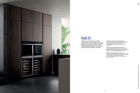 Kali 第 5 页