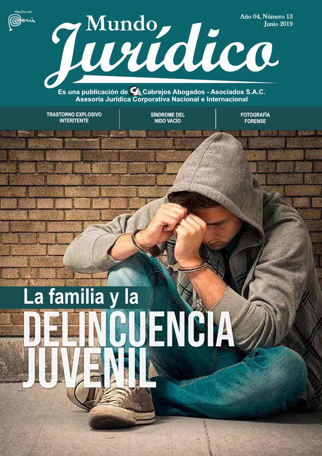 Artículos de revistas sobre lesiones cerebrales traumáticas leves Artículos de revistas sobre lesiones cerebrales traumáticas leves