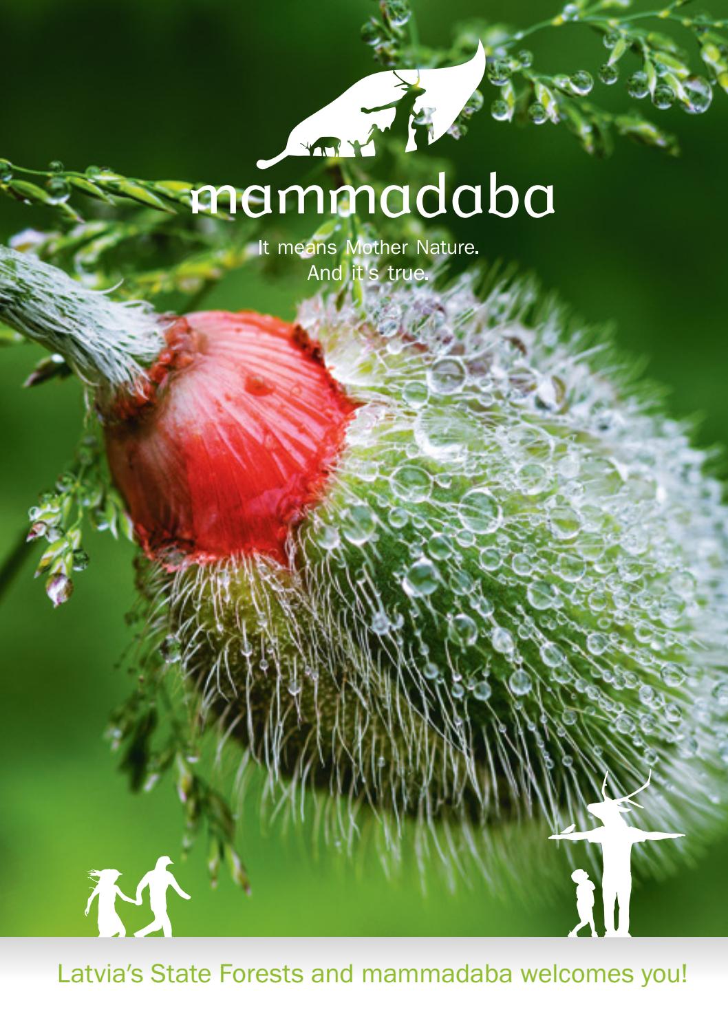 Mammadaba 2019 By Latvijas Valsts Mezi Issuu