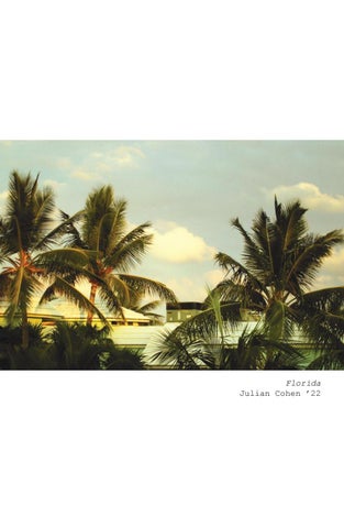 A-Z Files 2019 第 19 页