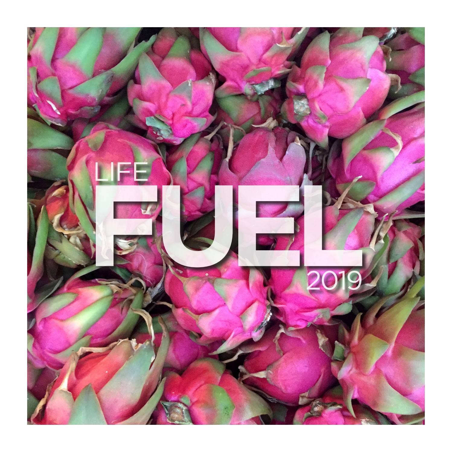 GamutPlanet LIFE FUEL Calendar 2019 by Phillip Wentworth Graphic Design ...