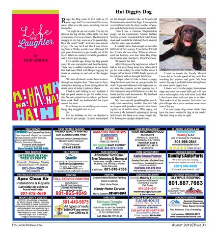 Page 31