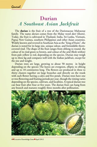 Metro MEDIA 灯饰目录 · Executive Knowledge Lines - April 2012 第 4 页