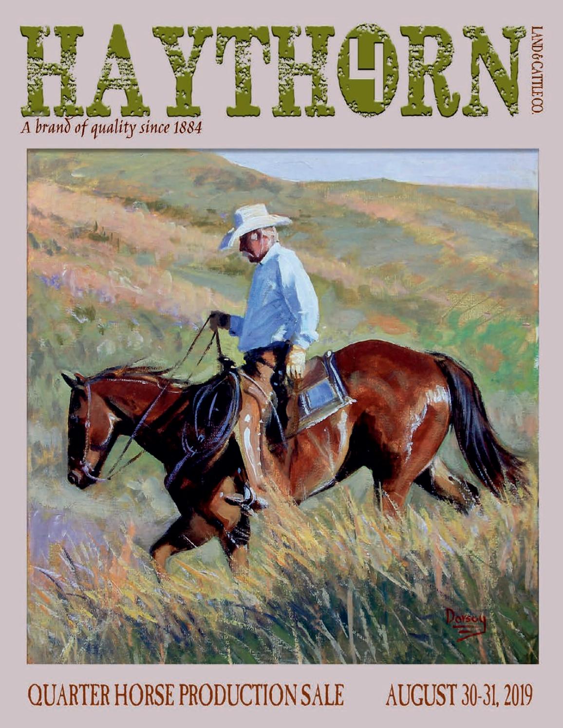 Haythorn Land and Cattle 2019 Horse Sale Catalog by LivestockDirect