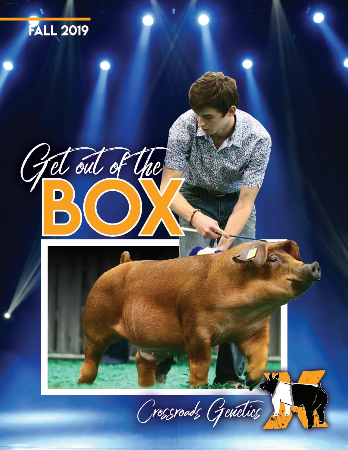 Crossroads Catalog Fall 2019 by Novel Designs Issuu