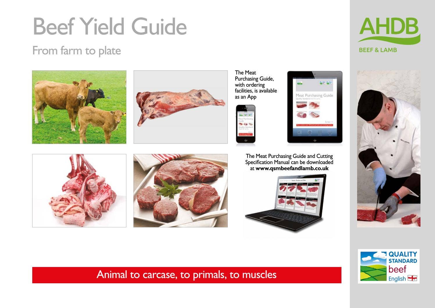 Beef Yield Guide by ahdb1 - Issuu