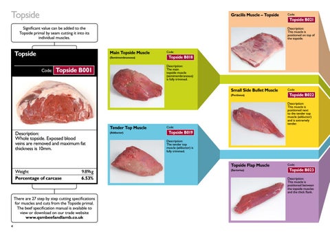 Beef Muscle Guide by ahdb1 - Issuu