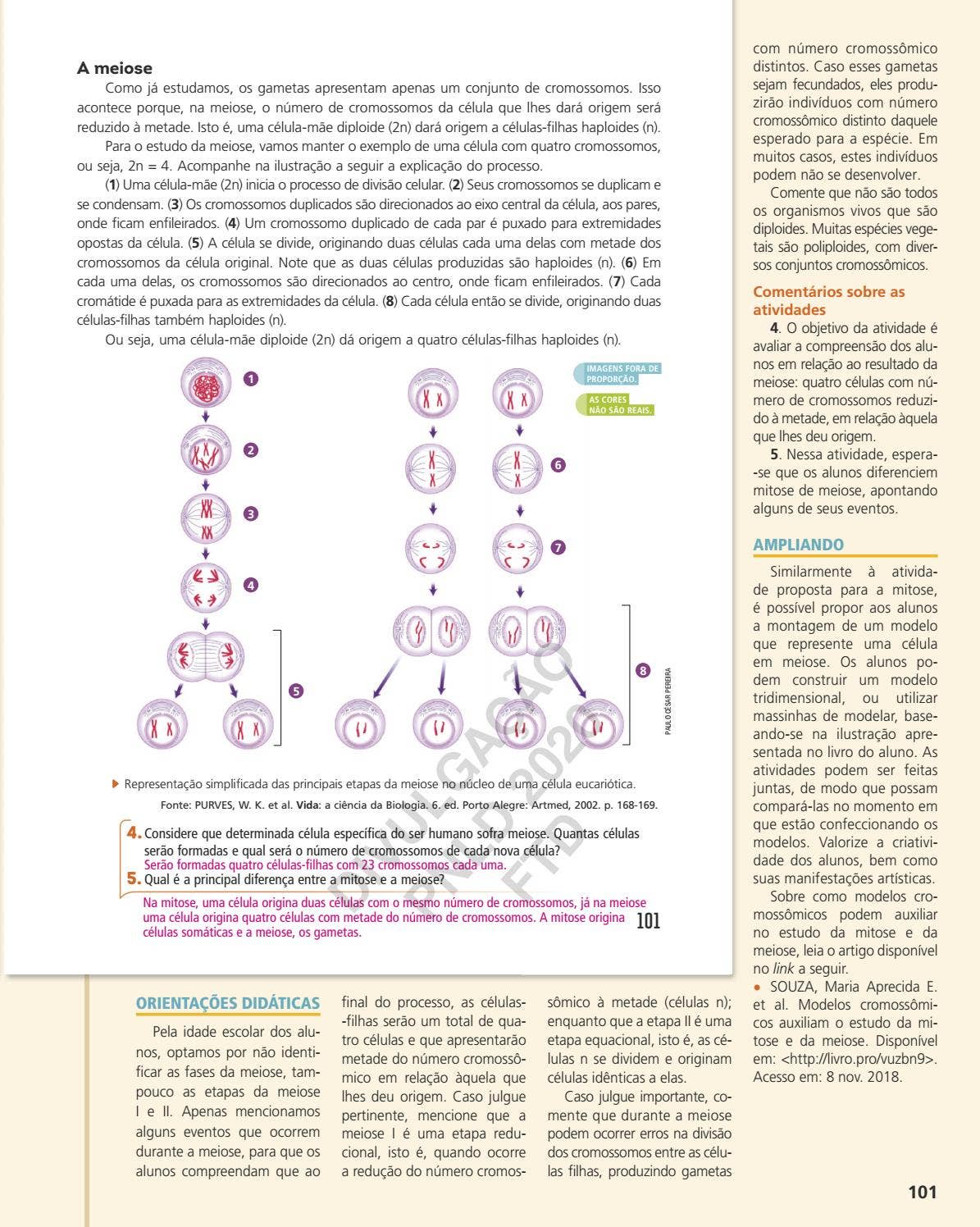 Ciencias vida 8 by FTD Educação - Issuu