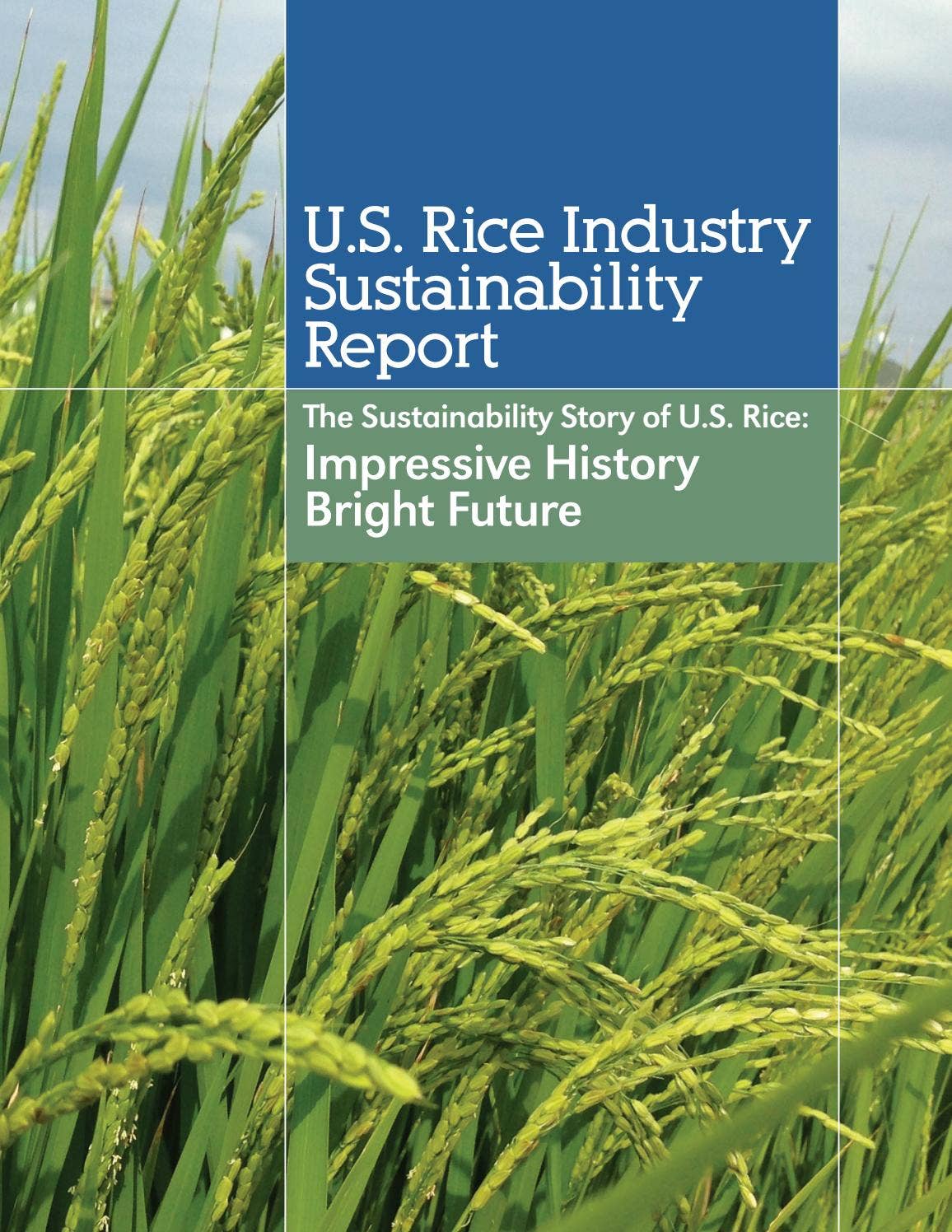 Psa Rice Infographic U.S. Rice Industry Sustainability Report by usarice - Issuu