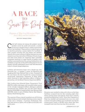Caribbean Culture and Lifestyle: The Conservation 期 第 12 页