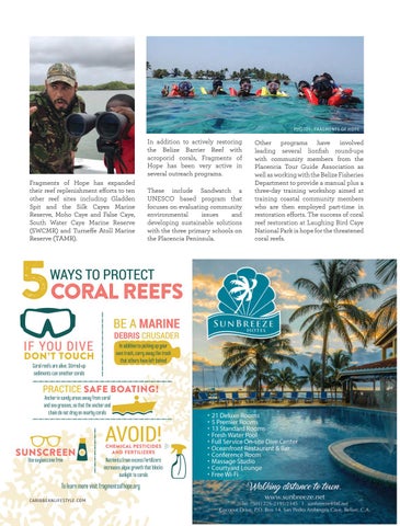 Caribbean Culture and Lifestyle: The Conservation 期 第 13 页