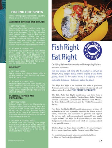 Caribbean Culture and Lifestyle: The Conservation 期 第 17 页