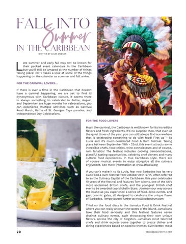Caribbean Culture and Lifestyle: The Conservation 期 第 20 页