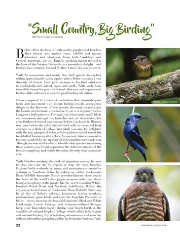 Caribbean Culture and Lifestyle: The Conservation 期 第 22 页