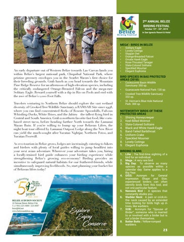 Caribbean Culture and Lifestyle: The Conservation 期 第 23 页