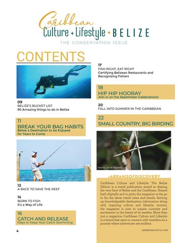 Caribbean Culture and Lifestyle: The Conservation 期 第 4 页
