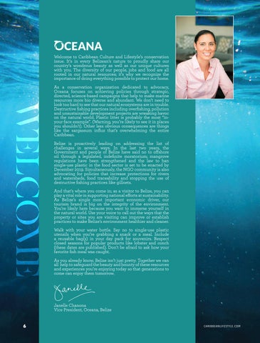 Caribbean Culture and Lifestyle: The Conservation 期 第 6 页