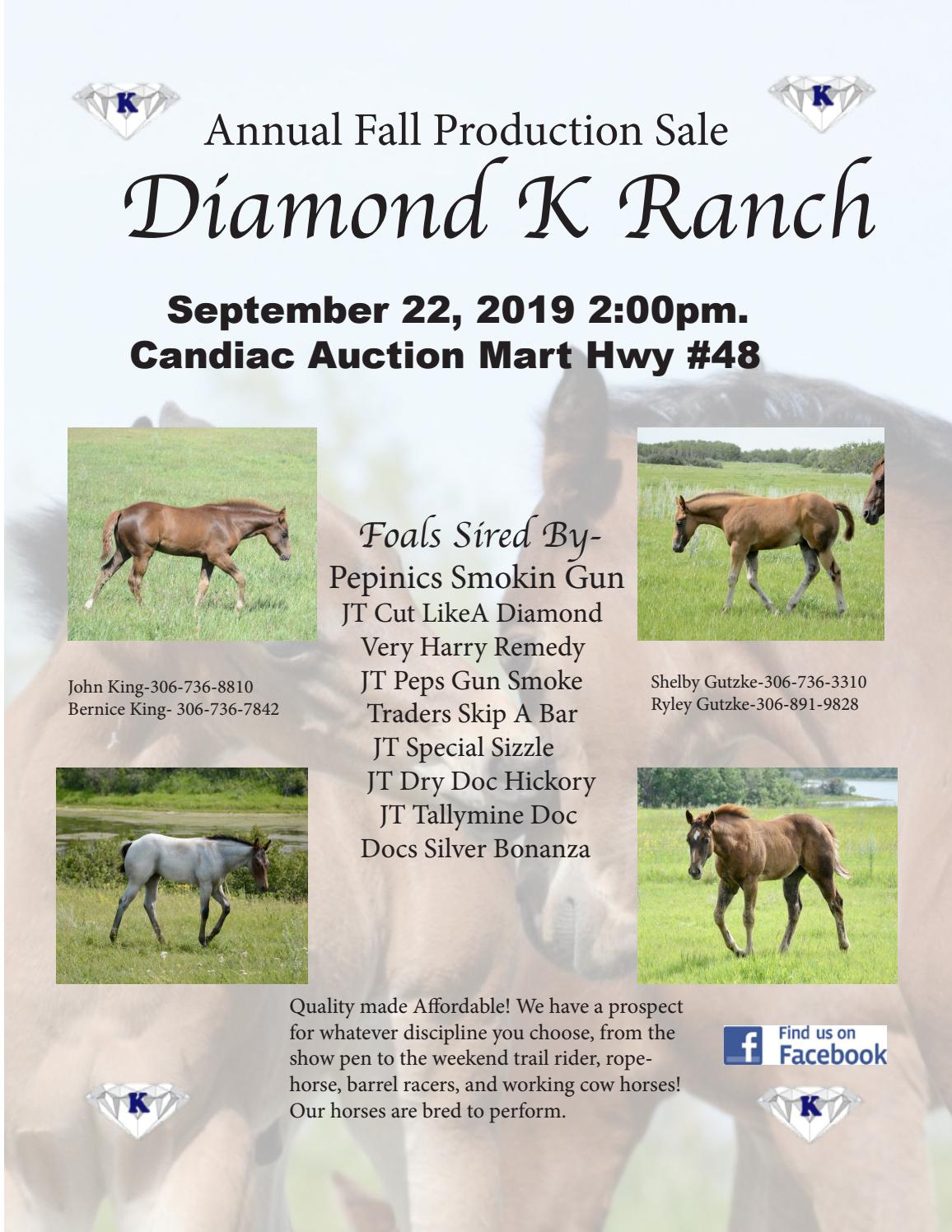 Diamond K Ranch 2019 by Shelby King Issuu